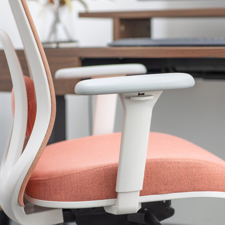 Desky Regal Mesh Office Chair-Office Chairs-Desky-Carbon Black-No Headrest-DeskyÌâå¨ Australia