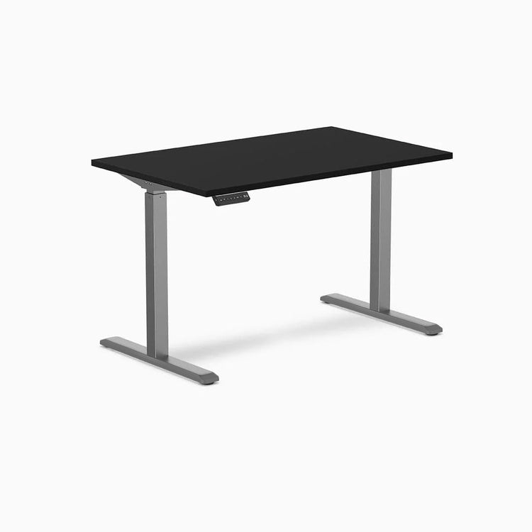 Desky Single Sit Stand Desk
