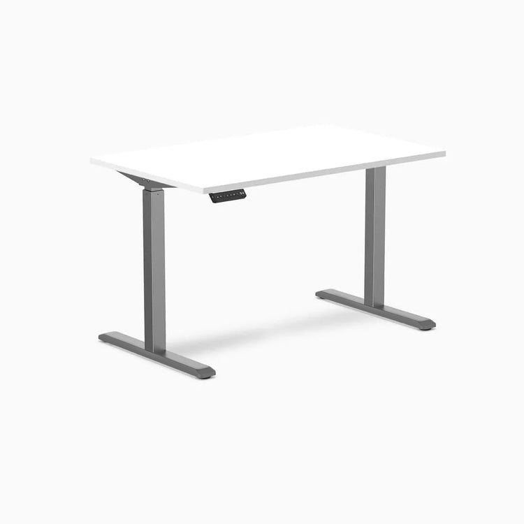 Desky Single Sit Stand Desk