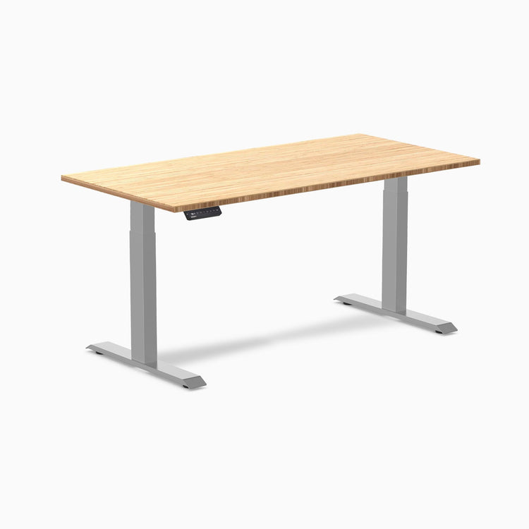 Desky Single Sit Stand Desk