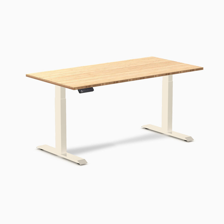 Desky Single Sit Stand Desk