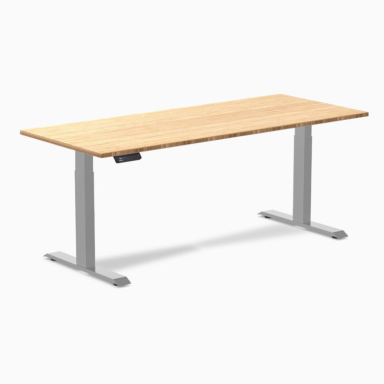 Desky Single Sit Stand Desk