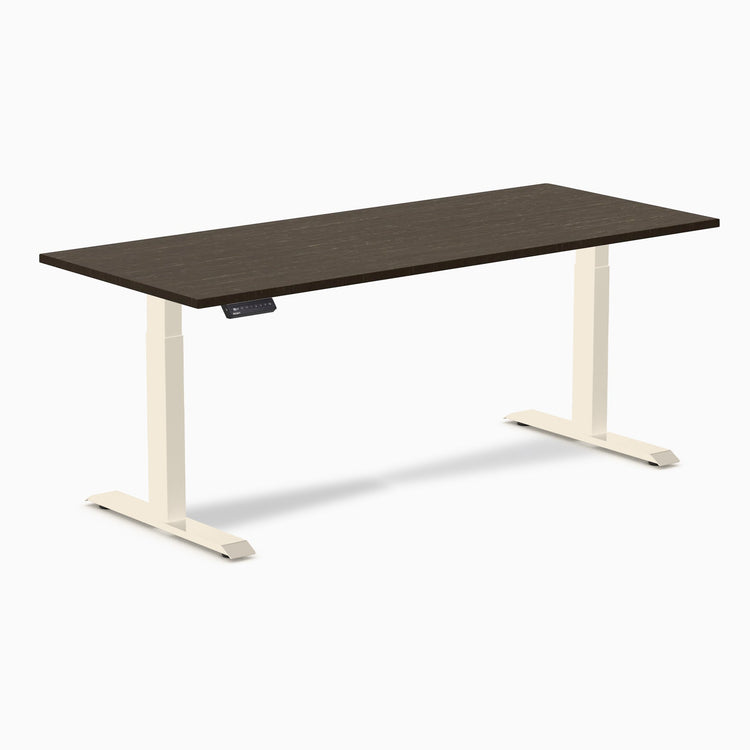 Desky Single Sit Stand Desk