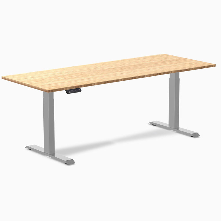 Desky Single Sit Stand Desk