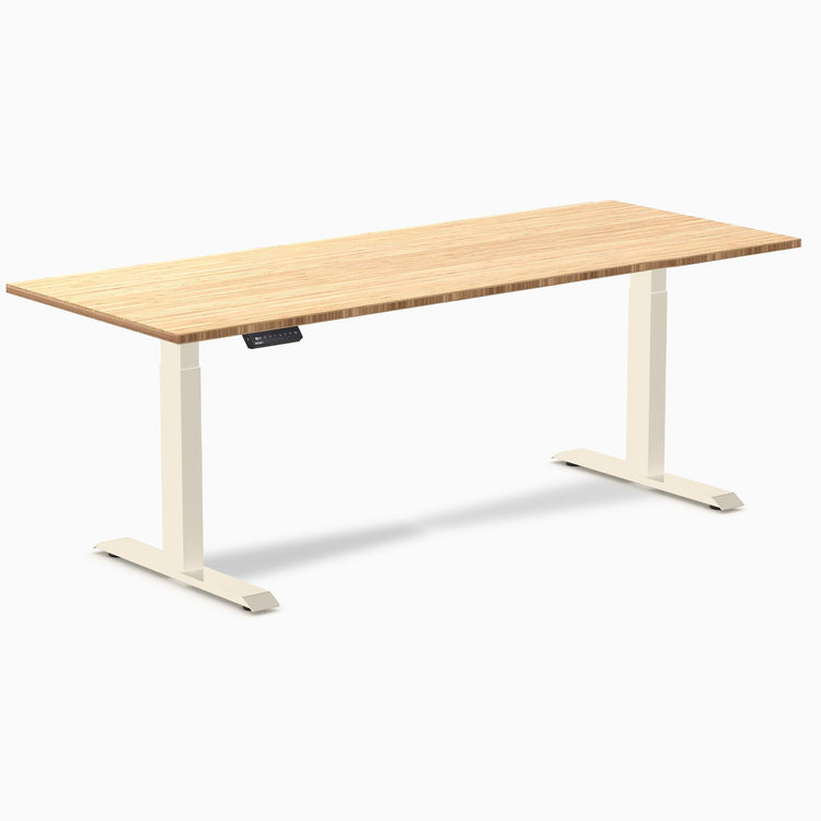 Desky Single Sit Stand Desk