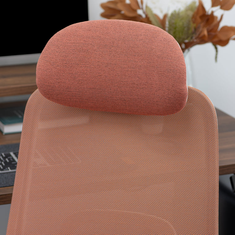 Desky Regal Mesh Office Chair-Office Chairs-Desky-Carbon Black-No Headrest-DeskyÌâå¨ Australia