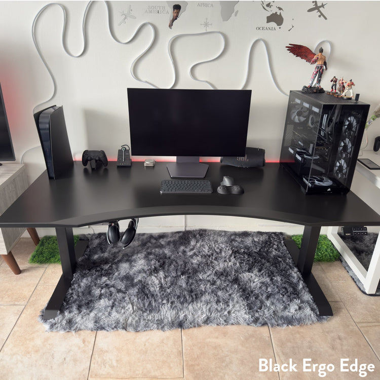 Desky Dual Ergo Edge Sit Stand Desk