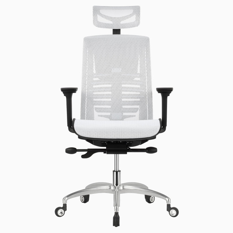 Desky Big & Tall High Back Office Chair-DeskyÌâå¨ Australia