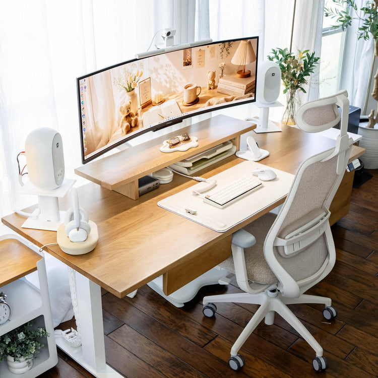 Desky CoilFlex Ergonomic Office Chair
