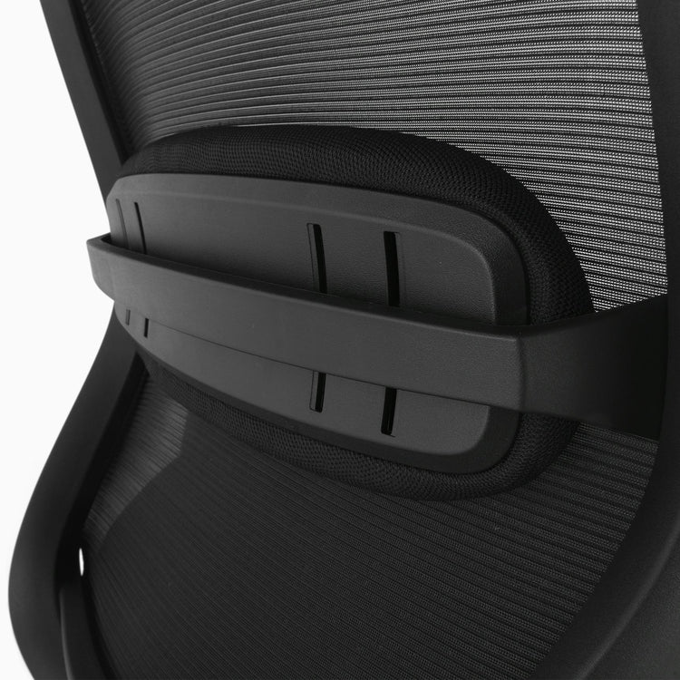 Coilflex chair with lumbar support - Desky