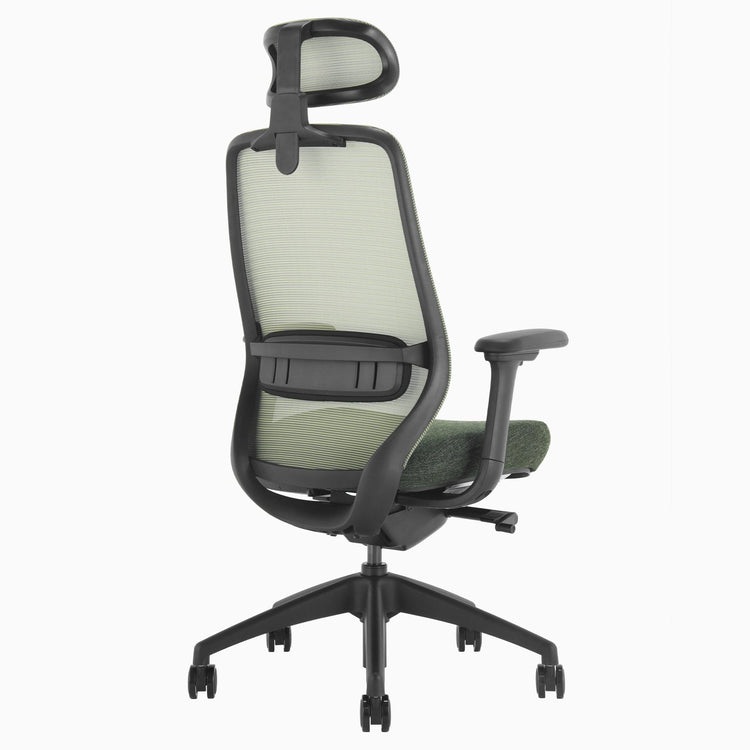 Coilflex chair with lumbar support in green - Desky