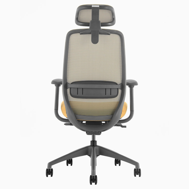 Desky coilflex ergonomic chair with lumbar support in yellow
