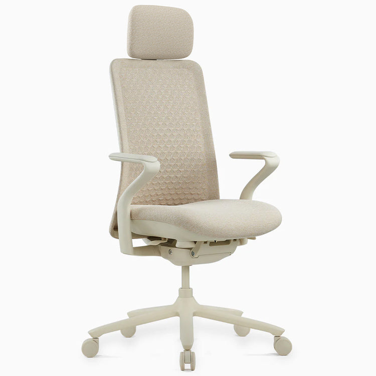 Desky Pro Ergonomic Mesh Chair-DeskyÌâå¨ Australia