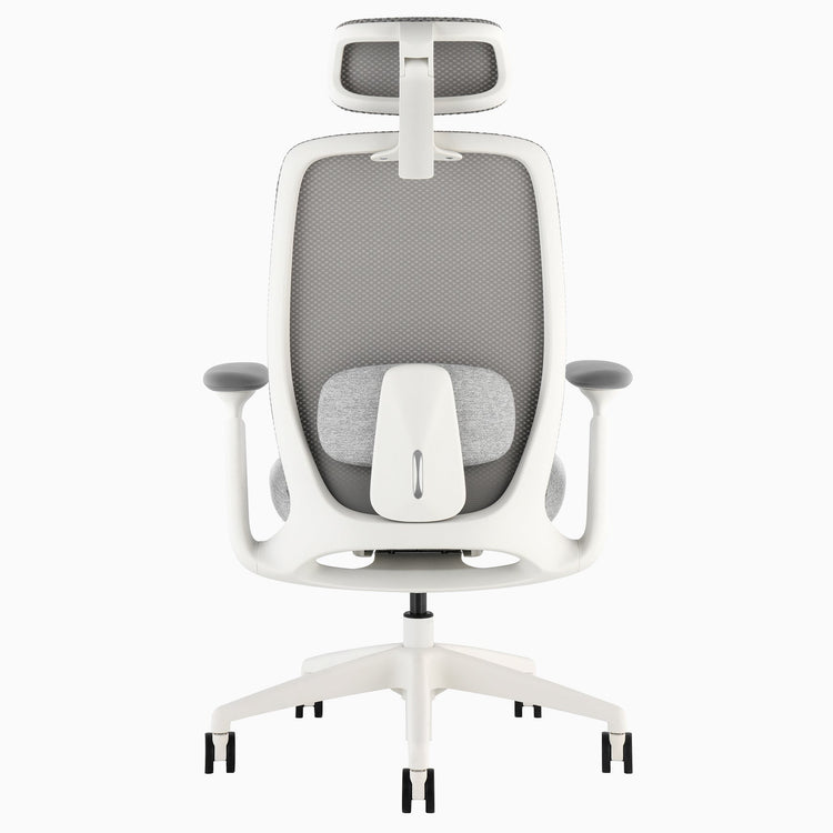 Desky Sereno Ergonomic Office Task Chair