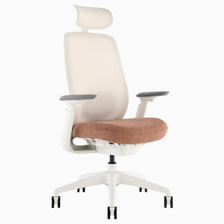 Desky Sereno Ergonomic Office Task Chair