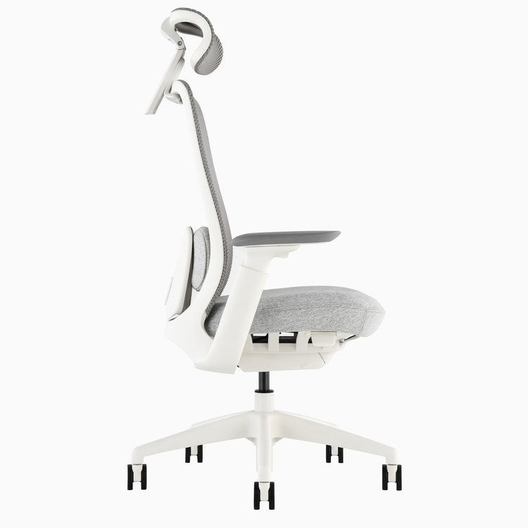 Desky Sereno Ergonomic Office Task Chair