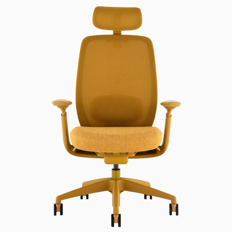Desky Sereno Ergonomic Office Task Chair