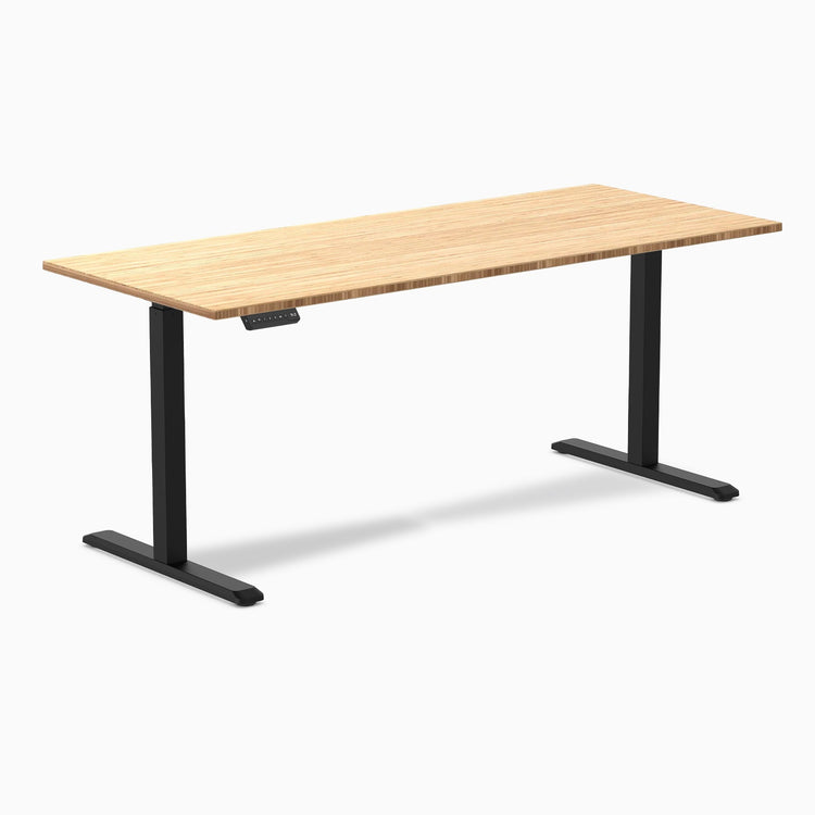 Desky Single Sit Stand Desk