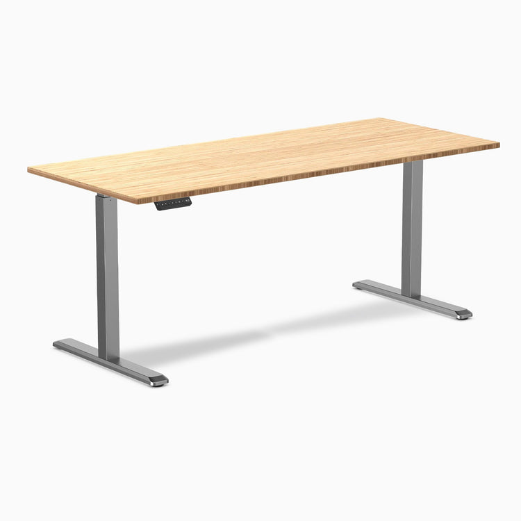 Desky Single Sit Stand Desk