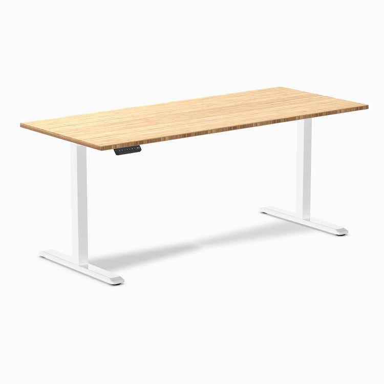 Desky Single Sit Stand Desk