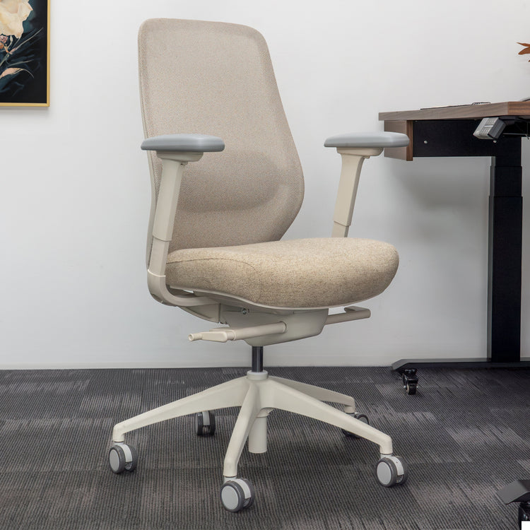 Desky CoilFlex Ergonomic Office Chair-Office Chairs-Desky-Black-No Headrest-DeskyÌâå¨ Australia