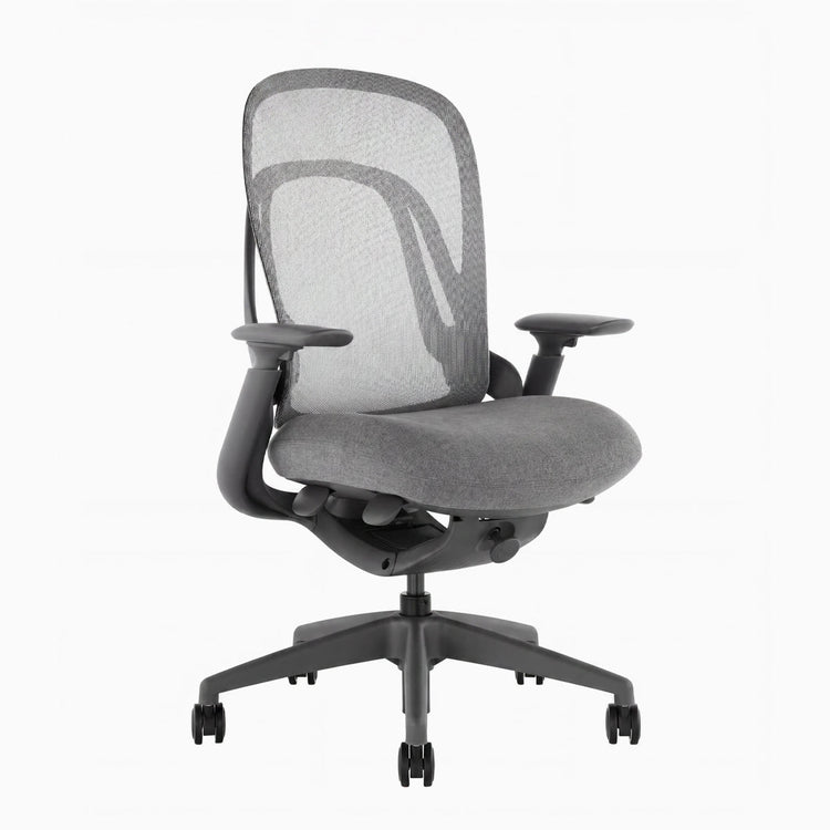 Desky Pivot Ergonomic Office Task Chair