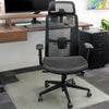 Desky Adjustable High Back Mesh Chair-Office Chairs-Desky-DeskyÌâå¨ Australia