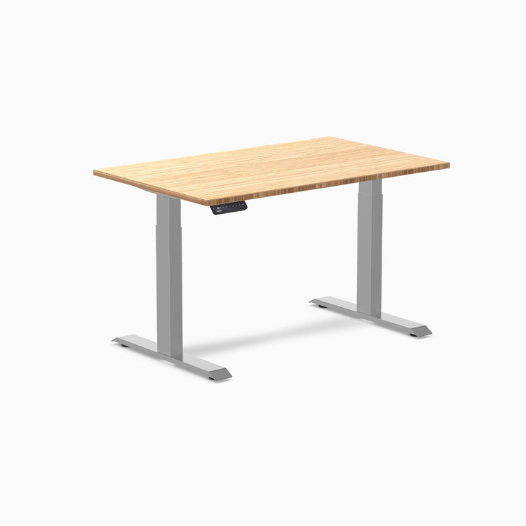 Desky Single Sit Stand Desk