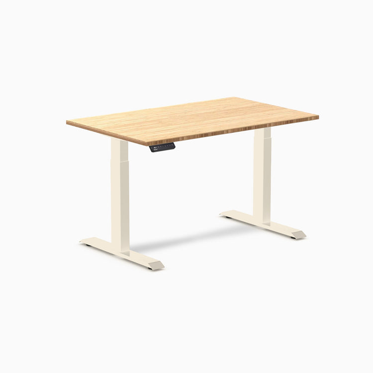 Desky Single Sit Stand Desk