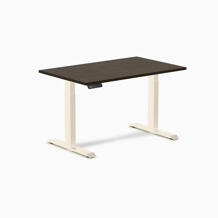 Desky Single Sit Stand Desk