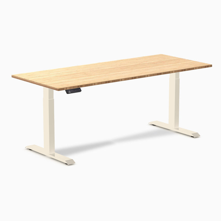 Desky Single Sit Stand Desk