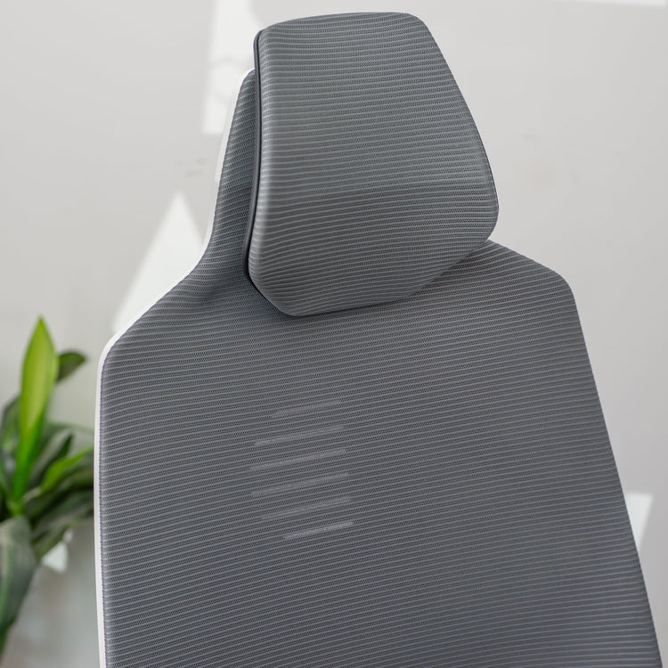 Desky Pro+ Ergonomic Gaming Chair-Office Chairs-Desky-Black-DeskyÌâå¨ Australia