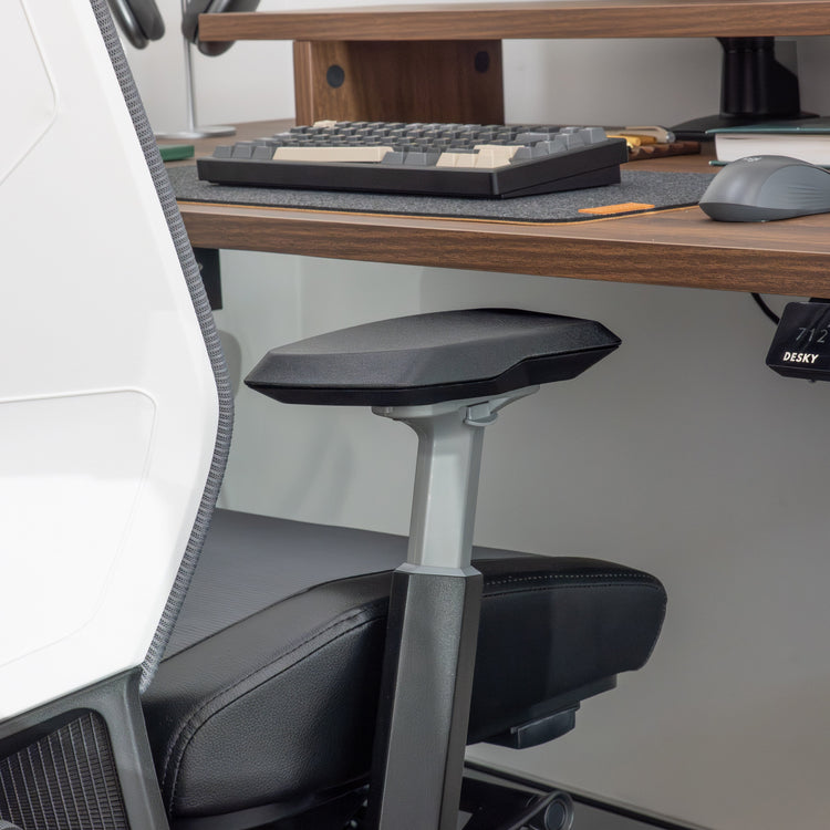 Desky Pro+ Ergonomic Gaming Chair-Office Chairs-Desky-Black-DeskyÌâå¨ Australia