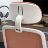 Desky Regal Mesh Office Chair-Office Chairs-Desky-Carbon Black-No Headrest-DeskyÌâå¨ Australia