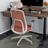 Desky Regal Mesh Office Chair-Office Chairs-Desky-Carbon Black-No Headrest-DeskyÌâå¨ Australia