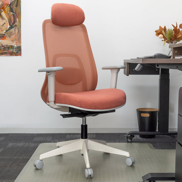 Desky Regal Mesh Office Chair-Office Chairs-Desky-Carbon Black-No Headrest-DeskyÌâå¨ Australia