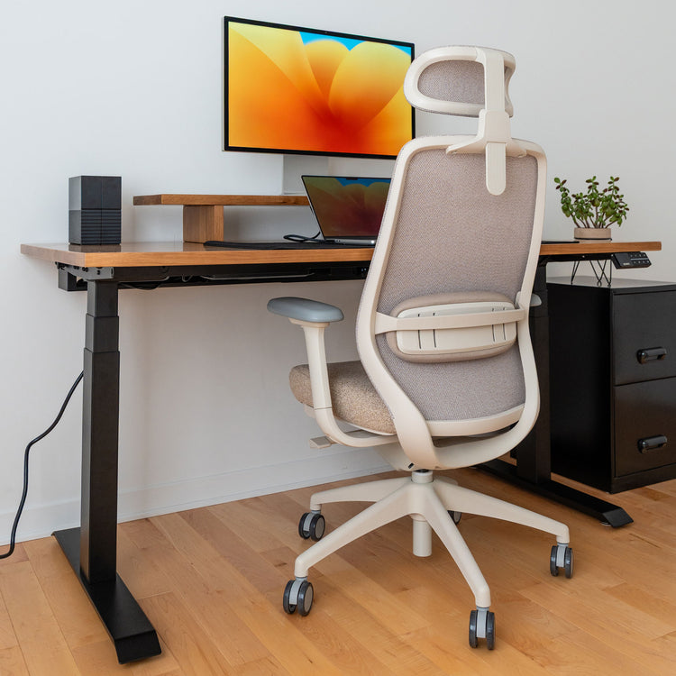 Desky CoilFlex Ergonomic Office Chair