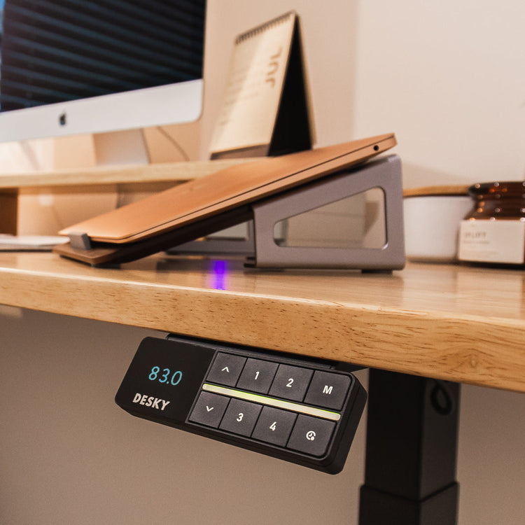 Desky Smart Bluetooth Controller-Black DeskyÌâå¨