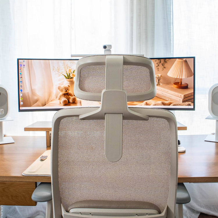 Desky CoilFlex Ergonomic Office Chair