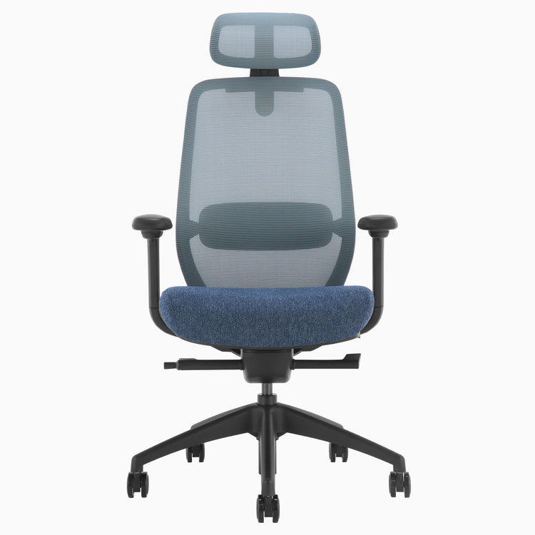Blue Coilflex ergonomic chair - Desky