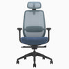 Blue Coilflex ergonomic chair - Desky