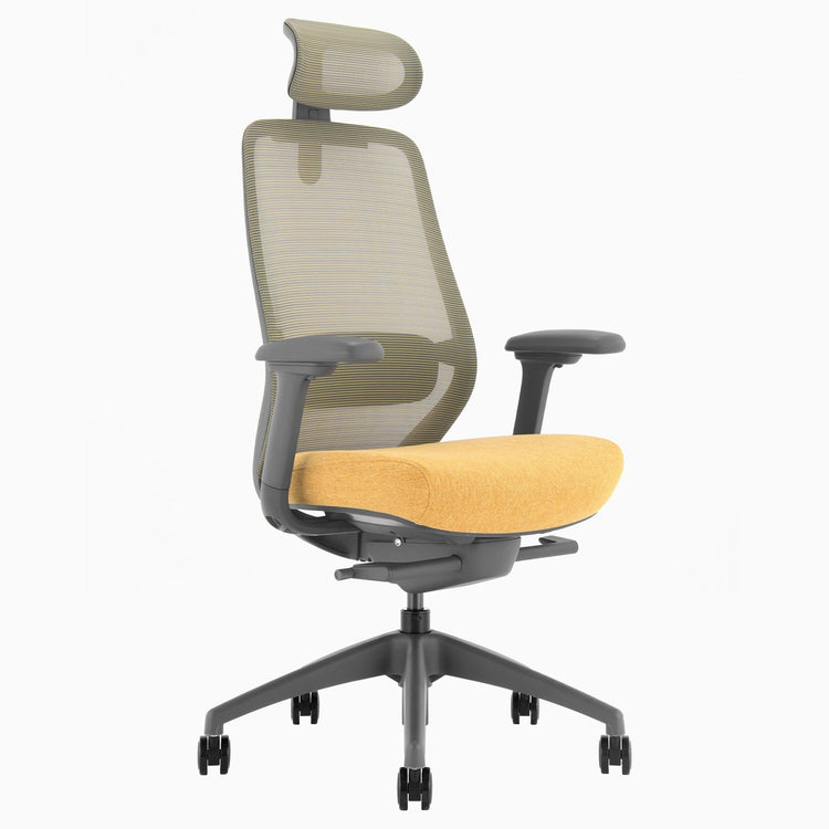 Yellow coilflex ergonomic office chair - Desky