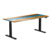 dual resin hardwood sit stand desk