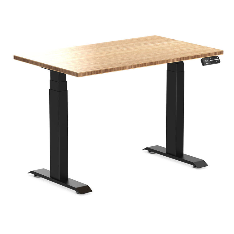 dual mini bamboo sit stand desk