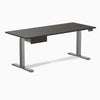 Desky Dual Melamine Standing Desk With Drawer, Burnished Wood desktop, Space Grey frame