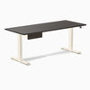 Desky Dual Melamine Standing Desk With Drawer, Burnished Wood desktop, Wheat frame