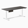 Desky Dual Melamine Standing Desk With Drawer, Burnished Wood desktop, White frame