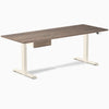 Desky Dual Melamine Standing Desk With Drawer, Natural Walnut desktop, Wheat frame