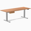 Desky Dual Melamine Standing Desk With Drawer detail view 107