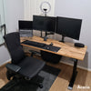 Desky Dual Softwood Sit Stand Desk
acacia desk setup